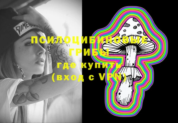 a pvp Армянск