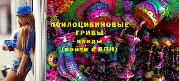 прущие крисы Арсеньев