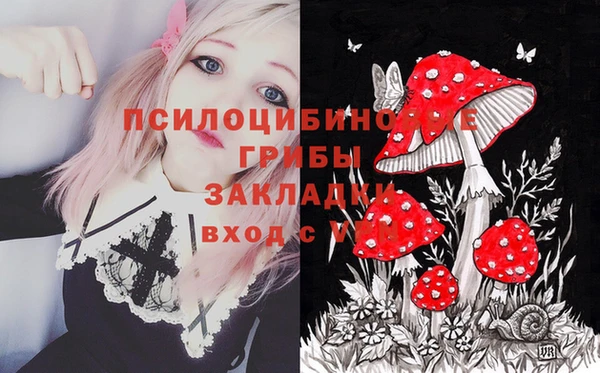 прущие крисы Арсеньев