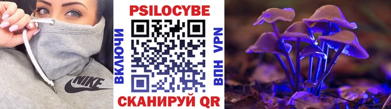 Псилоцибиновые грибы Cubensis закладка Рассказово